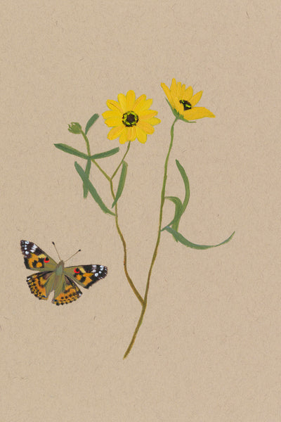 BOTANICAL XVIII - Museum Quality Art