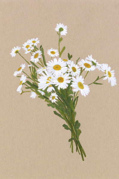 BOTANICAL XVII - Museum Quality Art