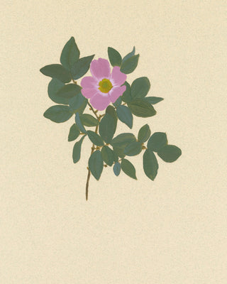 BOTANICAL XXII - Museum Quality Art