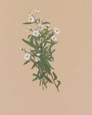 BOTANICAL XXIV - Museum Quality Art