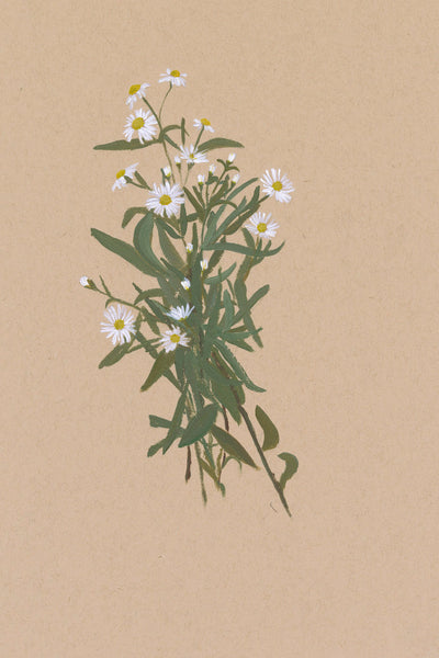 BOTANICAL XXIV - Museum Quality Art