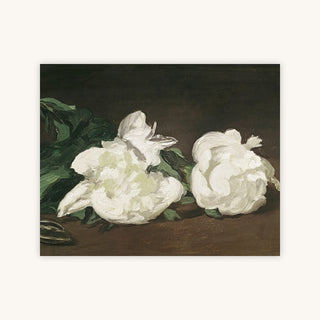BRANCH OF WHITE PEONIES — Primary Image