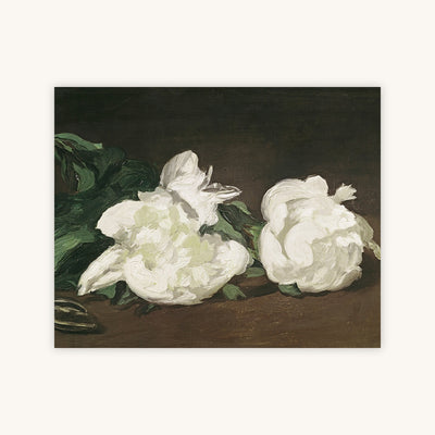 BRANCH OF WHITE PEONIES — Primary Image