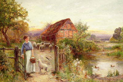 Bringing Home the Sheep