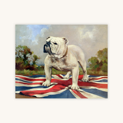 BRITISH BULLDOG — Primary Image