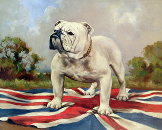 BRITISH BULLDOG