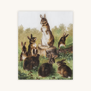 BUNNIES II — Primary Image