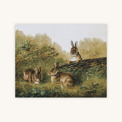 BUNNIES — Primary Image