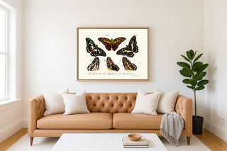 BUTTERFLIES - Museum Quality Art