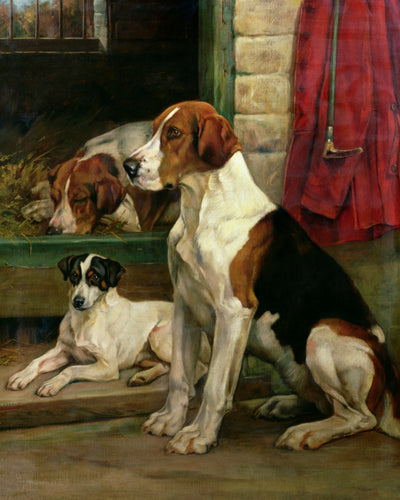 By the Kennels