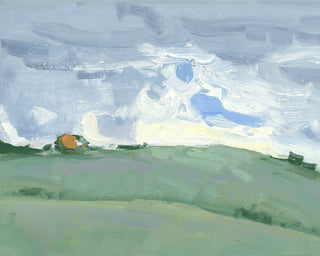 CALIFORNIA HILLS STUDY