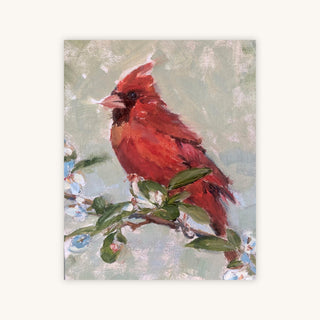 CARDINAL — Primary Image