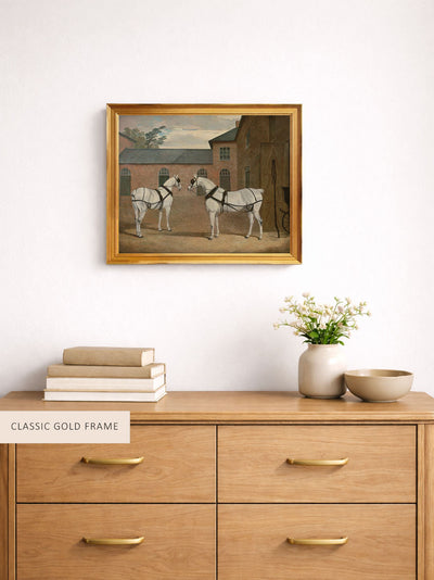 Carriage Horses