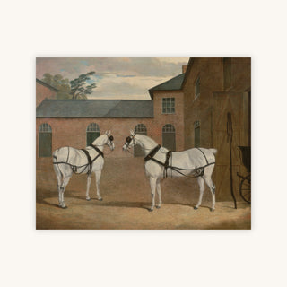 CARRIAGE HORSES — Primary Image