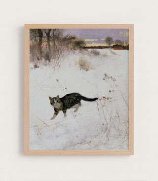 Cat Stalking Over Snow