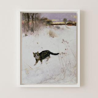 Cat Stalking Over Snow