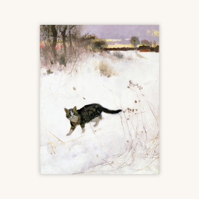 CAT STALKING OVER SNOW — Primary Image