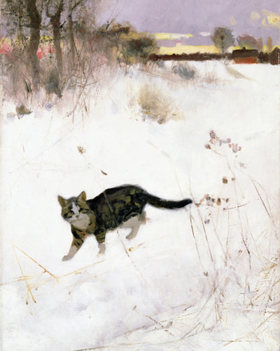 CAT STALKING OVER SNOW