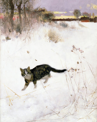 Cat Stalking over Snow