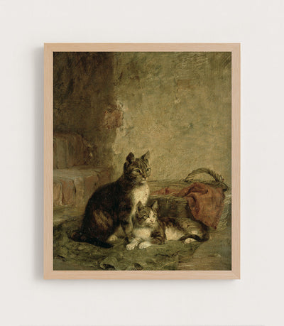 CATS - Museum Quality Art