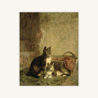CATS — Primary Image