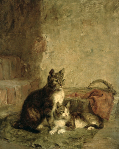 Cats
