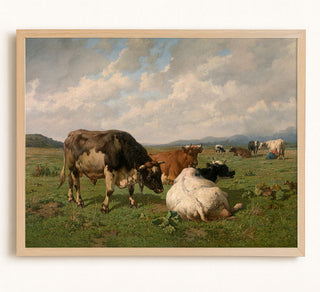 Cattle in the Meadow