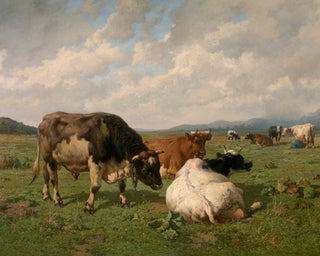 CATTLE IN THE MEADOW