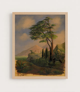 Cedar of Lebanon