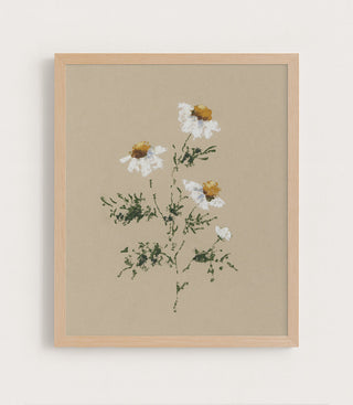 CHAMOMILE I - Museum Quality Art