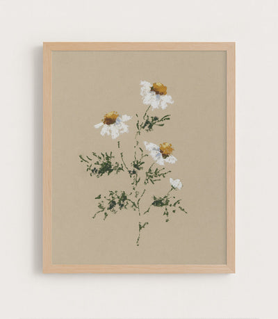 CHAMOMILE I - Museum Quality Art