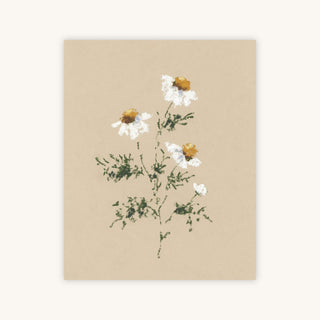 CHAMOMILE I — Primary Image