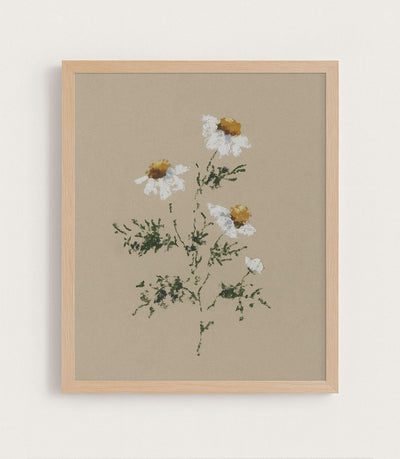 CHAMOMILE I - Museum Quality Art