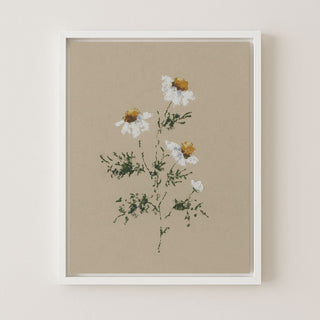 CHAMOMILE I - Museum Quality Art