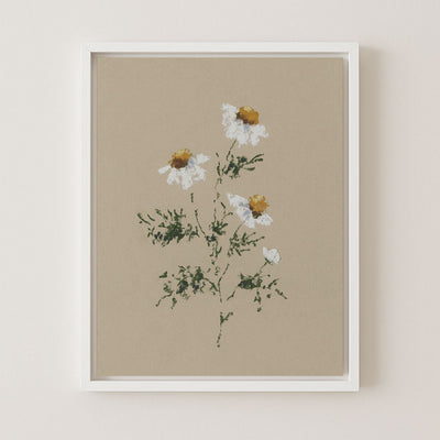 CHAMOMILE I - Museum Quality Art