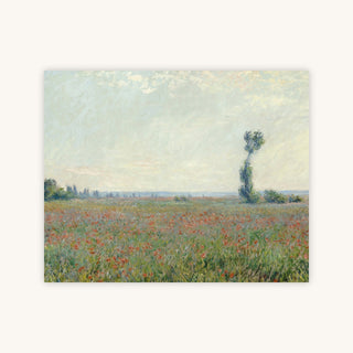 CHAMP DE COQUELICOTS — Primary Image