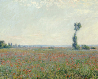 CHAMP DE COQUELICOTS