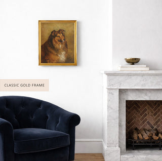 Champion, Eclipse, a Sable and White Rough Collie