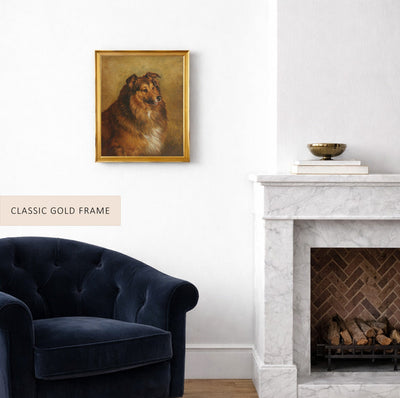 Champion, Eclipse, a Sable and White Rough Collie