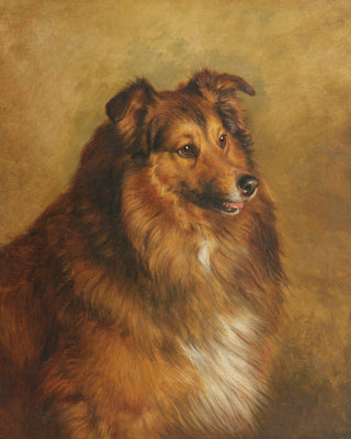 CHAMPION ECLIPSE A SABLE AND WHITE ROUGH COLLIE - Museum Quality Art