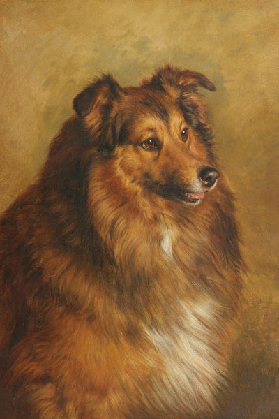 CHAMPION ECLIPSE A SABLE AND WHITE ROUGH COLLIE - Museum Quality Art