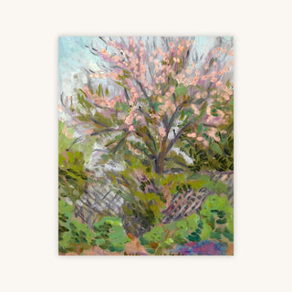CHERRY BLOSSOM WITH TRELLIS FENCE — Primary Image