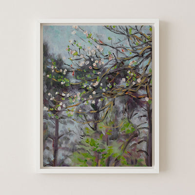 Cherry Tree in Blossom
