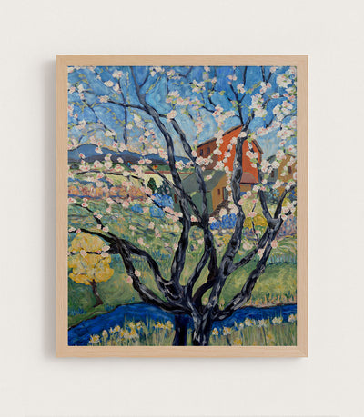 Cherry Tree View