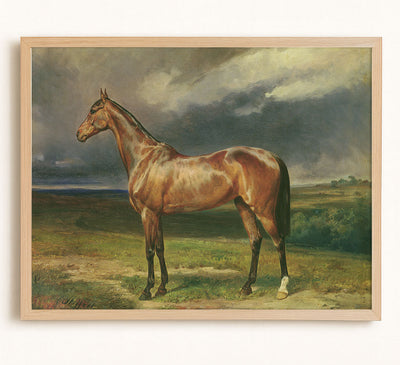 Chestnut Arab Horse