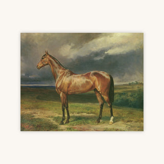 CHESTNUT ARAB HORSE — Primary Image