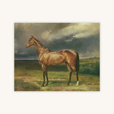 CHESTNUT ARAB HORSE — Primary Image