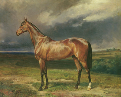 CHESTNUT ARAB HORSE
