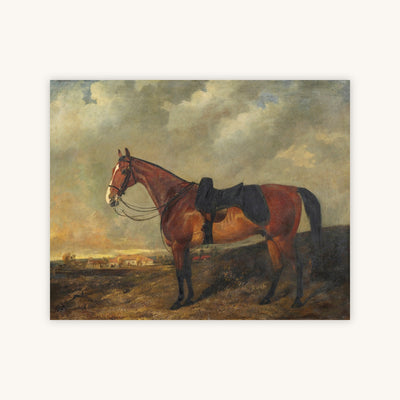 SHADRACH, A CHESTNUT HUNTER IN A LANDSCAPE — Primary Image