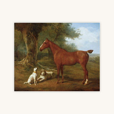 CHESTNUT HUNTER — Primary Image
